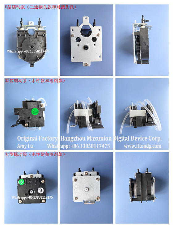 Maxunion Printer Pumps Collection_1.jpg